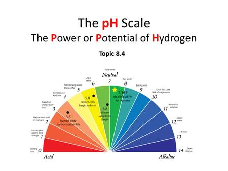 The pH Scale The Power or Potential of Hydrogen Topic 8.4.