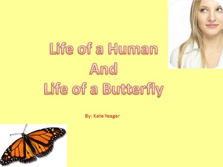 By: Kate Yeager. Day 1- Discuss a human in infancy and a butterfly’s egg Talk about the similarities and differences through making a Ven Diagram Day.