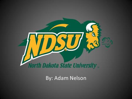 By: Adam Nelson. General Information City – Fargo State – North Dakota City population – 95,556 Retention Rate – 76% Graduation Rate – 47% Faculty to.
