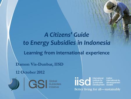 A Citizens’ Guide to Energy Subsidies in Indonesia Learning from international experience Damon Vis-Dunbar, IISD 12 October 2012.