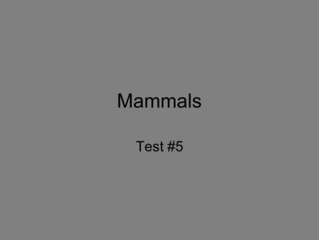 Mammals Test #5.