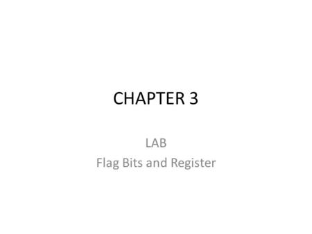 LAB Flag Bits and Register