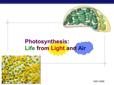 AP Biology 2007-2008 Photosynthesis: Life from Light and Air.