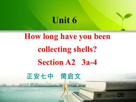 How long have you been collecting shells? Section A2 3a-4 Unit 6 正安七中 简启文.
