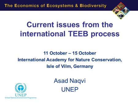 Current issues from the international TEEB process 11 October – 15 October International Academy for Nature Conservation, Isle of Vilm, Germany Asad Naqvi.