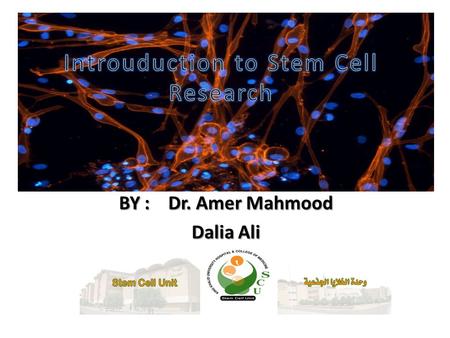 BY : Dr. Amer Mahmood Dalia Ali. Introducing….stem cells!