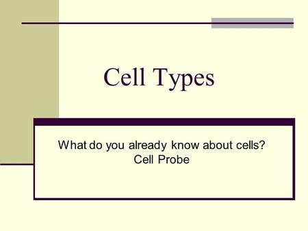 What do you already know about cells? Cell Probe