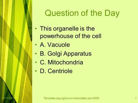 Question of the Day This organelle is the powerhouse of the cell A. Vacuole B. Golgi Apparatus C. Mitochondria D. Centriole 10/17/2015Template copyright.