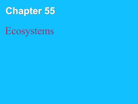 Chapter 55 Ecosystems. Copyright © 2008 Pearson Education, Inc., publishing as Pearson Benjamin Cummings Overview: Ecosystems An ecosystem consists of.