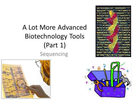 2007-2008 A Lot More Advanced Biotechnology Tools (Part 1) Sequencing.