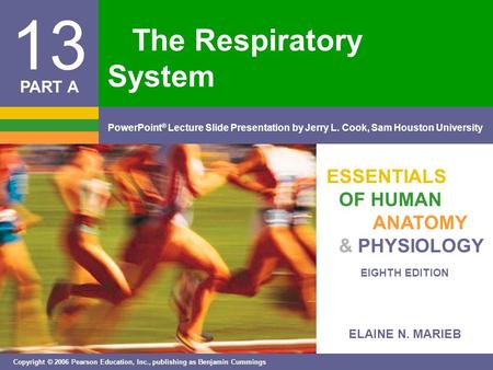 ELAINE N. MARIEB EIGHTH EDITION 13 Copyright © 2006 Pearson Education, Inc., publishing as Benjamin Cummings PowerPoint ® Lecture Slide Presentation by.