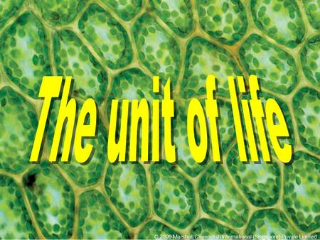 The unit of life © 2009 Marshall Cavendish International (Singapore) Private Limited.