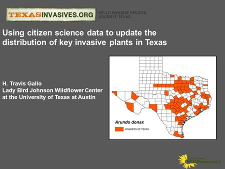 H. Travis Gallo Lady Bird Johnson Wildflower Center at the University of Texas at Austin Using citizen science data to update the distribution of key invasive.