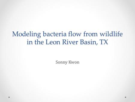 Modeling bacteria flow from wildlife in the Leon River Basin, TX Sonny Kwon.