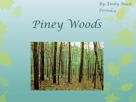 Piney Woods By. Emily Mack Period 4. Location The piney woods is located in the east of Texas.