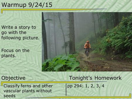 Warmup 9/24/15 Write a story to go with the following picture. Focus on the plants. Objective Tonight’s Homework Classify ferns and other vascular plants.