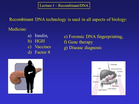 Lecture 1 – Recombinant DNA Recombinant DNA technology is used in all aspects of biology: Medicine: a)Insulin, b)HGH c)Vaccines d)Factor 8 e) Forensic.