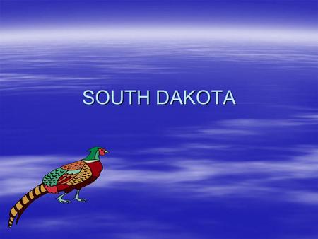 SOUTH DAKOTA. HISTORY  There are some Indian tribes in South Dakota including the Sioux and Oglala and others.  The first people in South Dakota were.