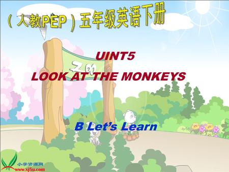 UINT5 LOOK AT THE MONKEYS B Let’s Learn. tiger pig rabbit lion monkey elephant bird duck I can see a / an… pig dog.