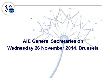 AIE General Secretaries on Wednesday 26 November 2014, Brussels.