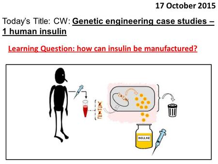 23 April 2017 Today’s Title: CW: Genetic engineering case studies – 1 human insulin Learning Question: how can insulin be manufactured?