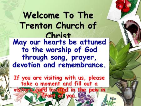 Welcome To The Trenton Church of Christ May our hearts be attuned to the worship of God through song, prayer, devotion and remembrance. If you are visiting.