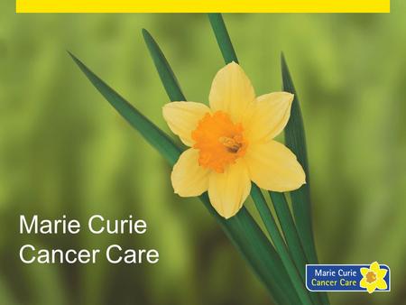 Marie Curie Cancer Care. Mini Pots of Care Mini Pots of Care Fundraising Day.