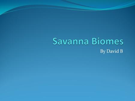 Savanna Biomes By David B.
