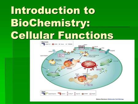 Introduction to BioChemistry: Cellular Functions.