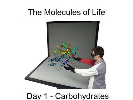 The Molecules of Life Day 1 - Carbohydrates. MOLECULES OF LIFE organic molecules –Are molecules containing carbon –Macromolecules (“large molecules) made.