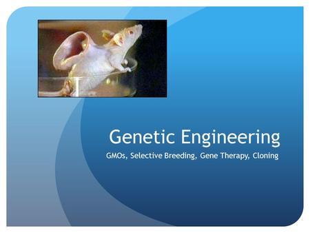 Genetic Engineering GMOs, Selective Breeding, Gene Therapy, Cloning.