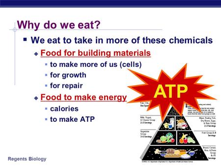 Regents Biology Why do we eat?  We eat to take in more of these chemicals  Food for building materials  to make more of us (cells)  for growth  for.