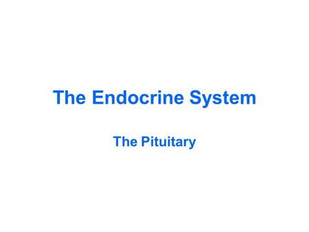 The Endocrine System The Pituitary. Low magnification – the entire Pituitary Gland Posterior Pituitary Pars Intermedia Anterior Pituitary Pars TuberalisPituitary.