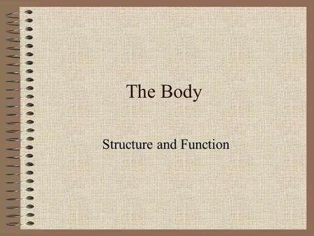 The Body Structure and Function The Skeleton  The skeleton is the framework of bones which gives shape and support to the body. It also protects the.