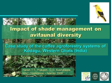 Impact of shade management on avifaunal diversity Case study of the coffee agroforestry systems of Kodagu, Western Ghats (India) Harish T.T., Prakash,,