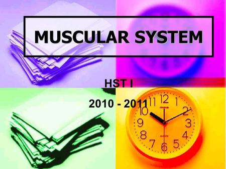 MUSCULAR SYSTEM HST I 2010 - 2011. Structure and Function The human body has more than 600 muscles The human body has more than 600 muscles.