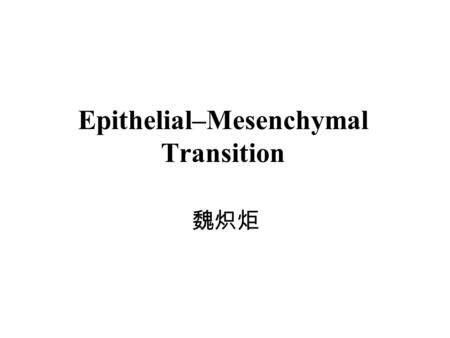 魏炽炬 Epithelial–Mesenchymal Transition. Origin of Epithelium and Mesenchyme There are two major types of cell arrangements in the embryo: epithelial cells,