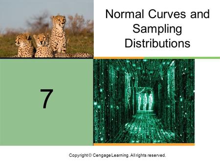 Copyright © Cengage Learning. All rights reserved. Normal Curves and Sampling Distributions 7.