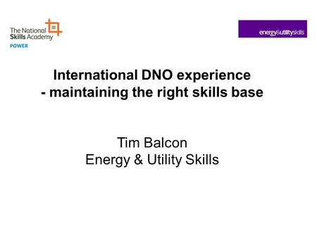 International DNO experience - maintaining the right skills base Tim Balcon Energy & Utility Skills.