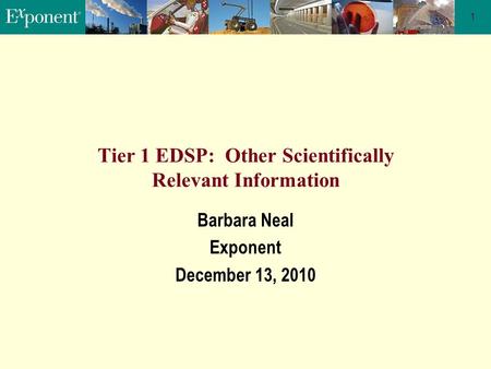 1 Tier 1 EDSP: Other Scientifically Relevant Information Barbara Neal Exponent December 13, 2010.