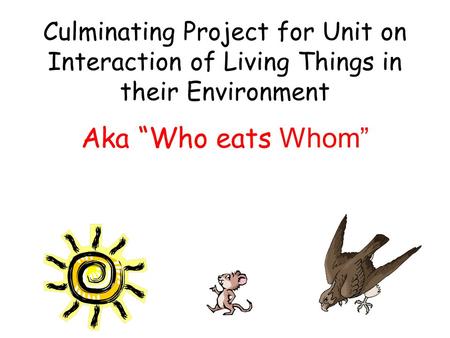Culminating Project for Unit on Interaction of Living Things in their Environment Aka “Who eats Whom”