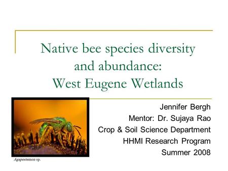 Native bee species diversity and abundance: West Eugene Wetlands Jennifer Bergh Mentor: Dr. Sujaya Rao Crop & Soil Science Department HHMI Research Program.