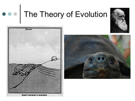 The Theory of Evolution. Jean Baptiste Lamarck ~ 1809 Recognized that species were not constant. Believed species changed over time. 1. The Law of Use.
