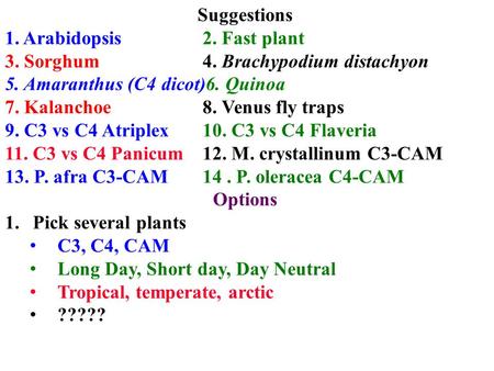 Suggestions 1. Arabidopsis2. Fast plant 3. Sorghum4. Brachypodium distachyon 5. Amaranthus (C4 dicot)6. Quinoa 7. Kalanchoe8. Venus fly traps 9. C3 vs.