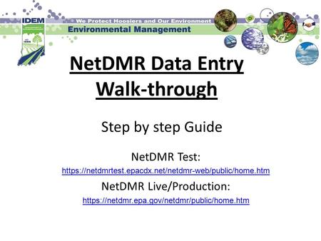 NetDMR Data Entry Walk-through