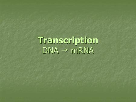 Transcription DNA  mRNA. Review What was the purpose for DNA replication? What was the purpose for DNA replication? So cell division (mitosis & meiosis)