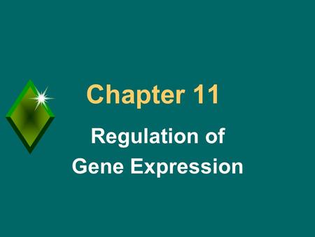 Chapter 11 Regulation of Gene Expression. Regulation of Gene Expression u Important for cellular control and differentiation. u Understanding “expression”