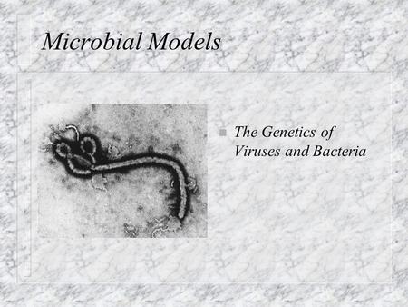 Microbial Models n The Genetics of Viruses and Bacteria.