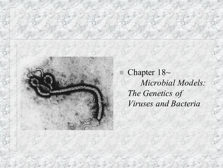 N Chapter 18~ Microbial Models: The Genetics of Viruses and Bacteria.