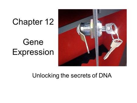 Chapter 12 Gene Expression Unlocking the secrets of DNA.